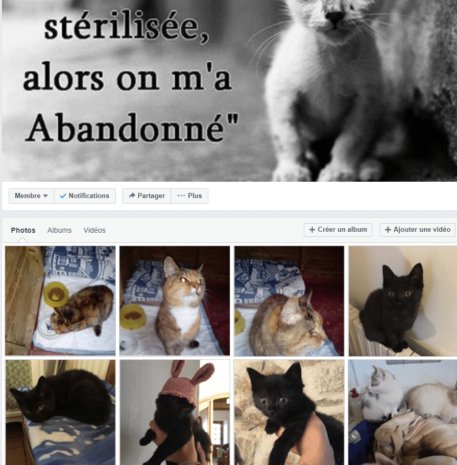 un aperçu de notre page facebook